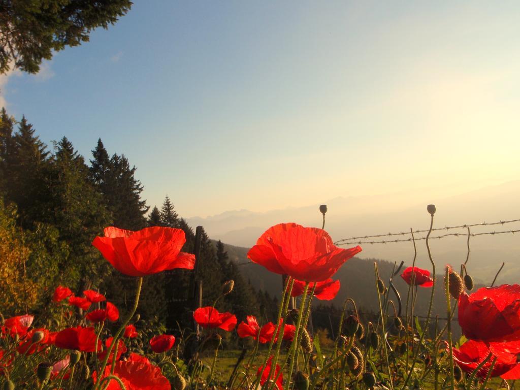 Hotel Garni Gaestehaus Karin Sankt Stefan im Lavanttal エクステリア 写真