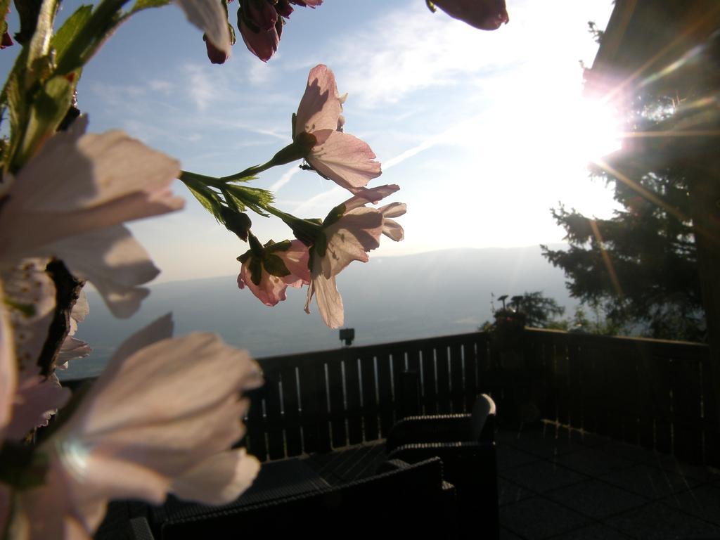 Hotel Garni Gaestehaus Karin Sankt Stefan im Lavanttal エクステリア 写真