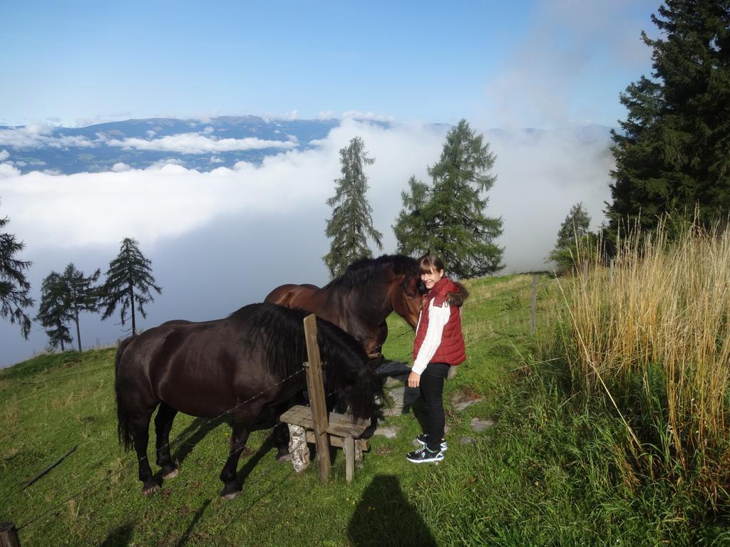 Hotel Garni Gaestehaus Karin Sankt Stefan im Lavanttal エクステリア 写真