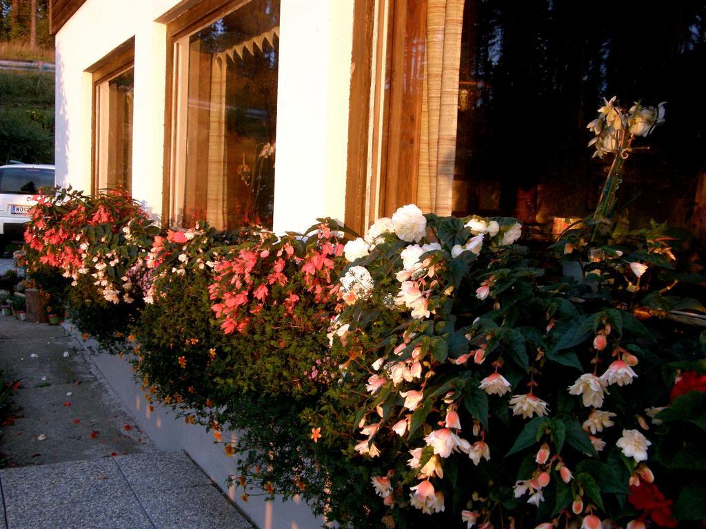 Hotel Garni Gaestehaus Karin Sankt Stefan im Lavanttal エクステリア 写真