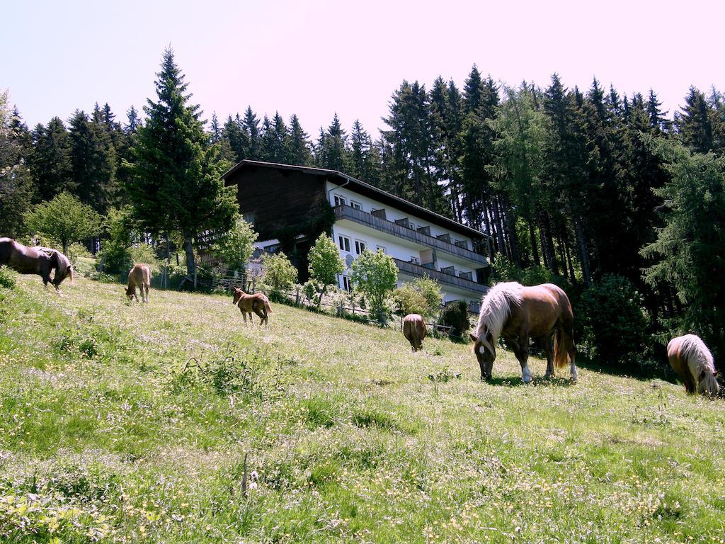 Hotel Garni Gaestehaus Karin Sankt Stefan im Lavanttal エクステリア 写真