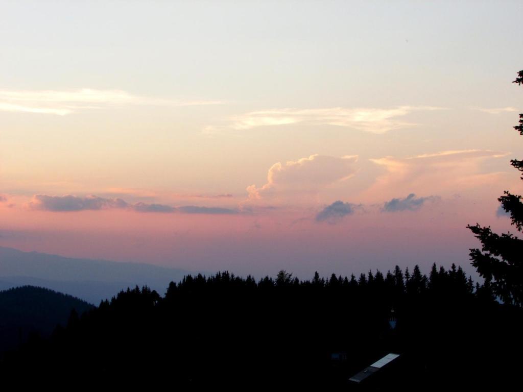 Hotel Garni Gaestehaus Karin Sankt Stefan im Lavanttal エクステリア 写真